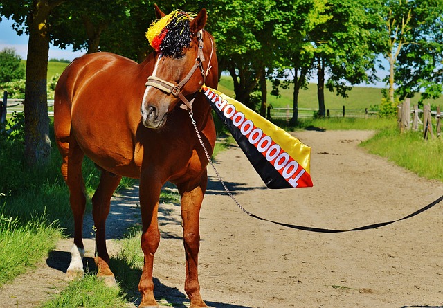 无疑成为他 无疑成为他