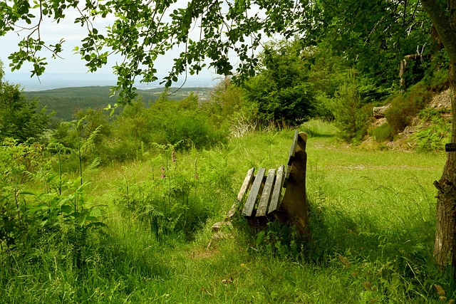为剩下的赛 为剩下的赛